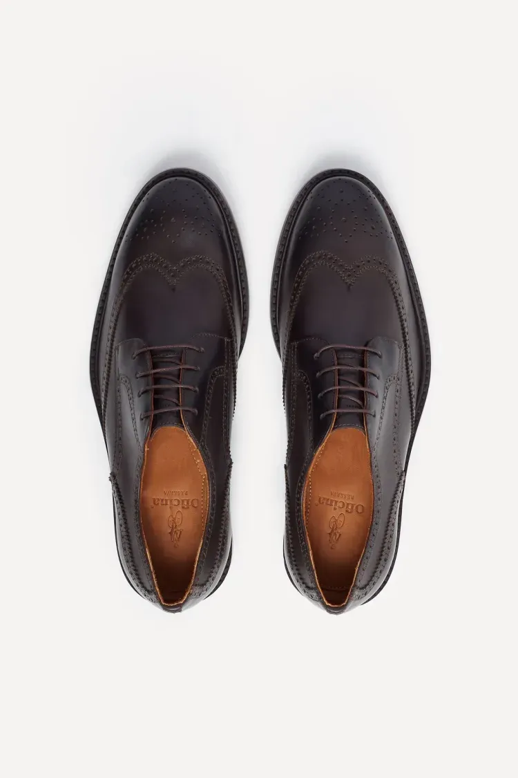 Sapato Brogue