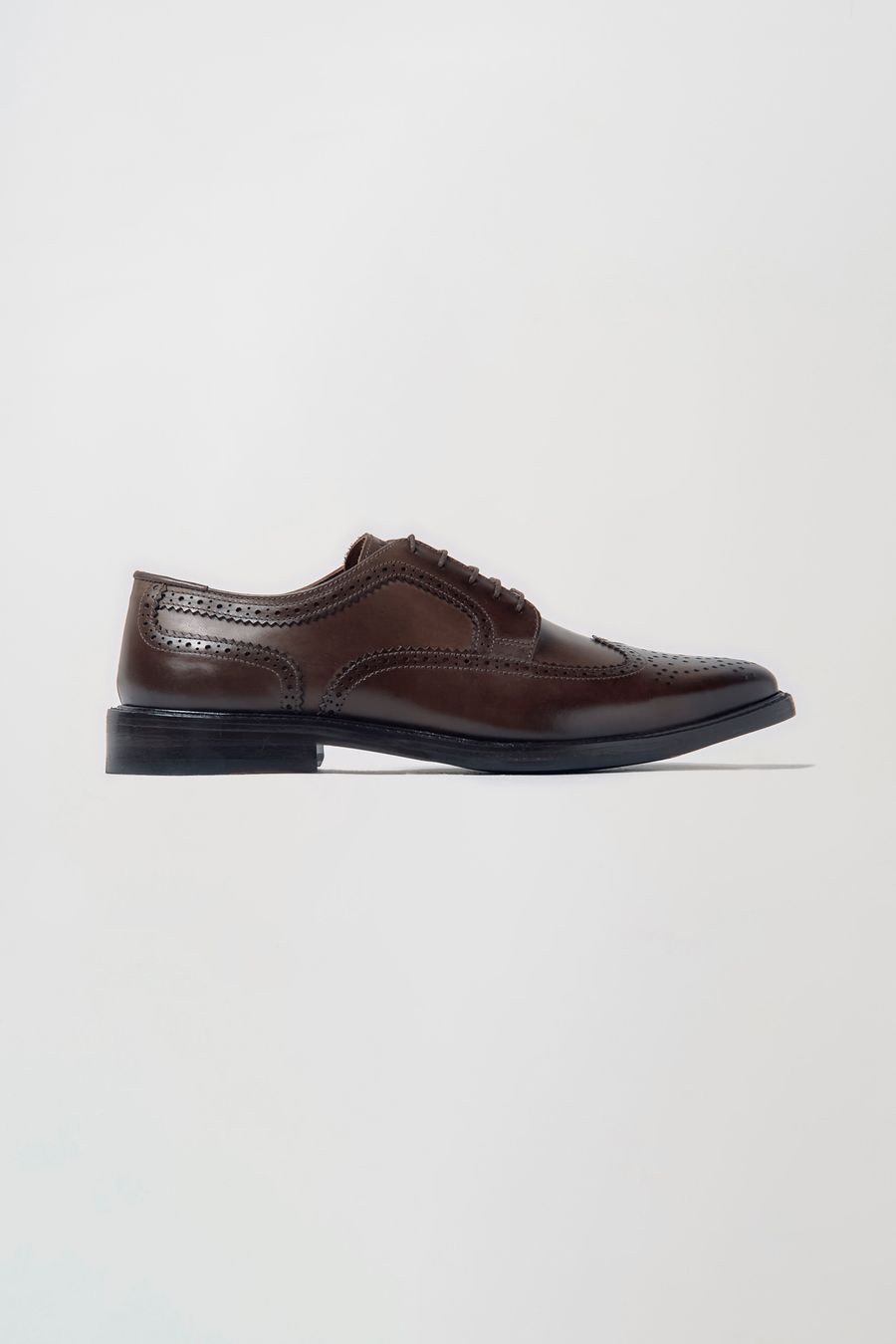 Sapato Brogue Guiness