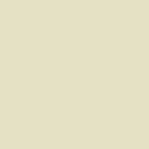 Camisa Chino Khaki
